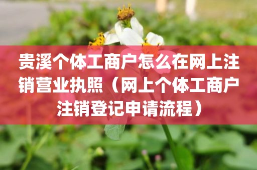 贵溪个体工商户怎么在网上注销营业执照(网上个体工商户注销登记申请流程)