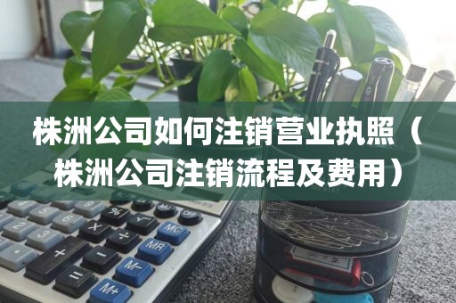 株洲公司如何注销营业执照（株洲公司注销流程及费用）