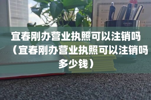 宜春刚办营业执照可以注销吗（宜春刚办营业执照可以注销吗多少钱）