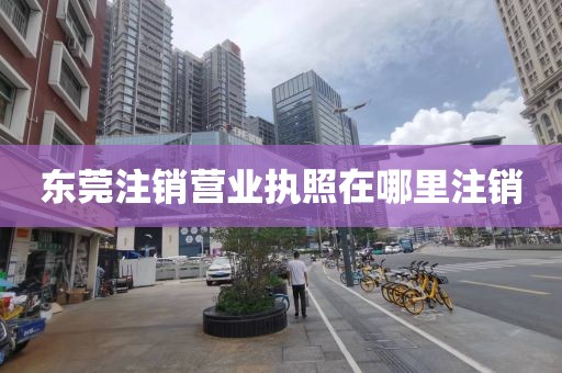 东莞注销营业执照在哪里注销