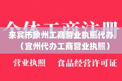 来宾市象州工商营业执照代办（宜州代办工商营业执照）