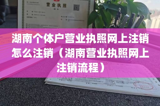 湖南个体户营业执照网上注销怎么注销（湖南营业执照网上注销流程）