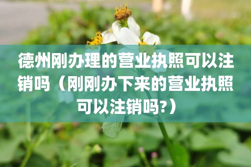 德州刚办理的营业执照可以注销吗（刚刚办下来的营业执照可以注销吗?）