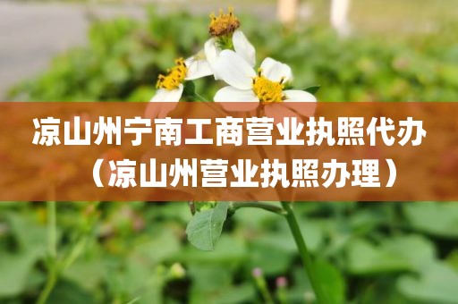 凉山州宁南工商营业执照代办（凉山州营业执照办理）