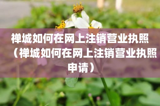 禅城如何在网上注销营业执照（禅城如何在网上注销营业执照申请）