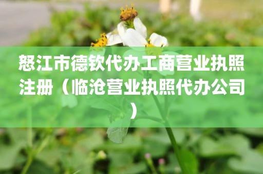 怒江市德钦代办工商营业执照注册（临沧营业执照代办公司）