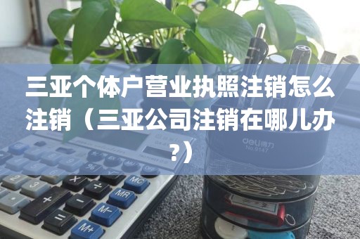 三亚个体户营业执照注销怎么注销（三亚公司注销在哪儿办?）