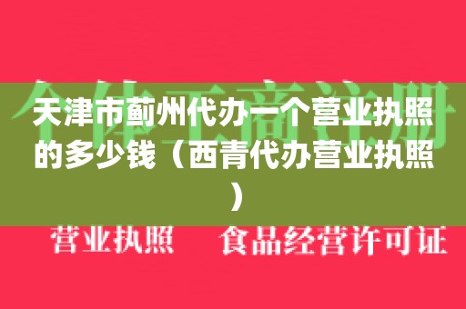 天津市蓟州代办一个营业执照的多少钱（西青代办营业执照）