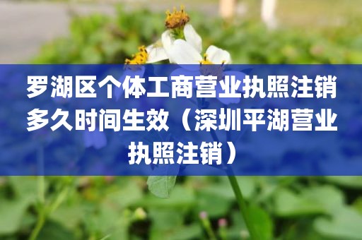 罗湖区个体工商营业执照注销多久时间生效（深圳平湖营业执照注销）