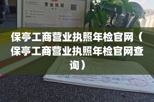 保亭工商营业执照年检官网（保亭工商营业执照年检官网查询）