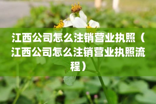 江西公司怎么注销营业执照（江西公司怎么注销营业执照流程）