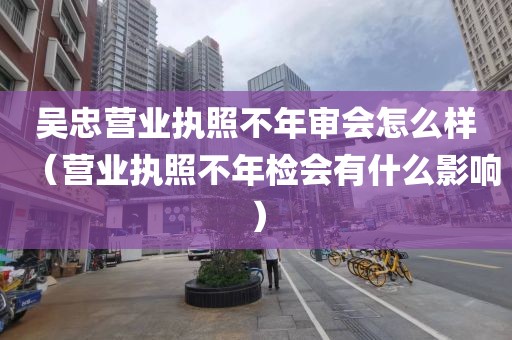 吴忠营业执照不年审会怎么样（营业执照不年检会有什么影响）