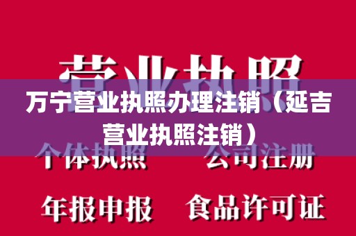 万宁营业执照办理注销（延吉营业执照注销）