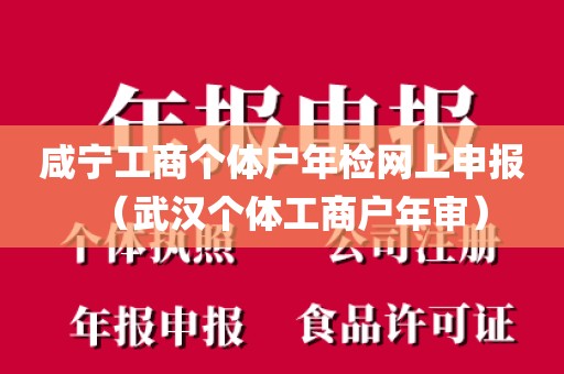咸宁工商个体户年检网上申报（武汉个体工商户年审）