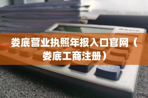 娄底营业执照年报入口官网（娄底工商注册）