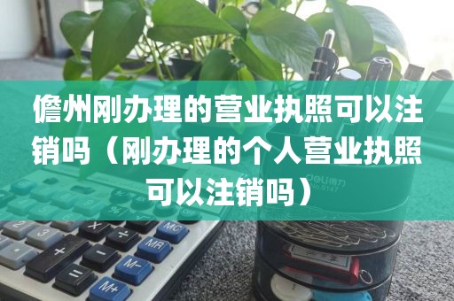 儋州刚办理的营业执照可以注销吗（刚办理的个人营业执照可以注销吗）