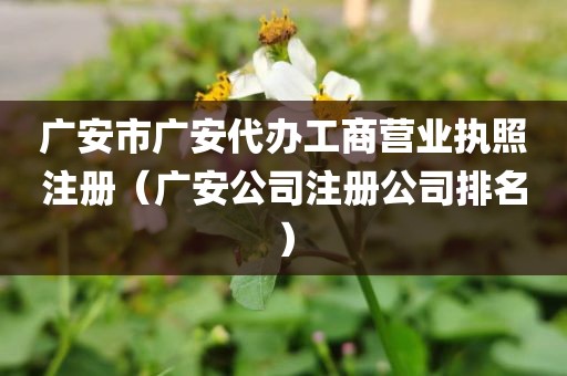 广安市广安代办工商营业执照注册（广安公司注册公司排名）