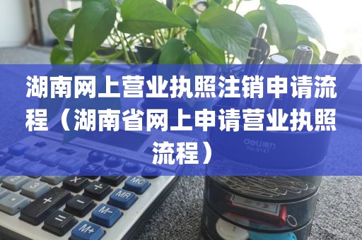 湖南网上营业执照注销申请流程（湖南省网上申请营业执照流程）