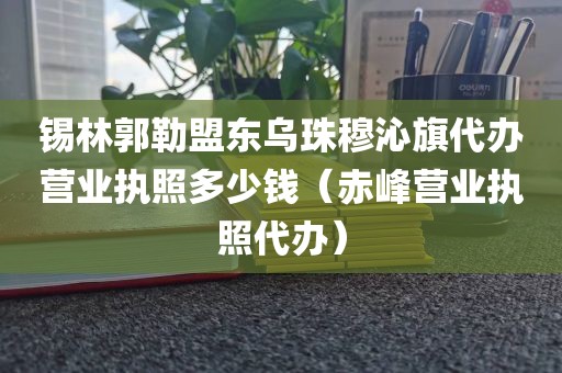 锡林郭勒盟东乌珠穆沁旗代办营业执照多少钱（赤峰营业执照代办）