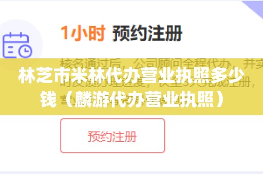 林芝市米林代办营业执照多少钱（麟游代办营业执照）