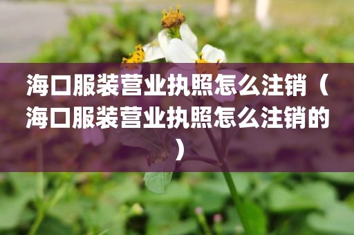 海口服装营业执照怎么注销（海口服装营业执照怎么注销的）