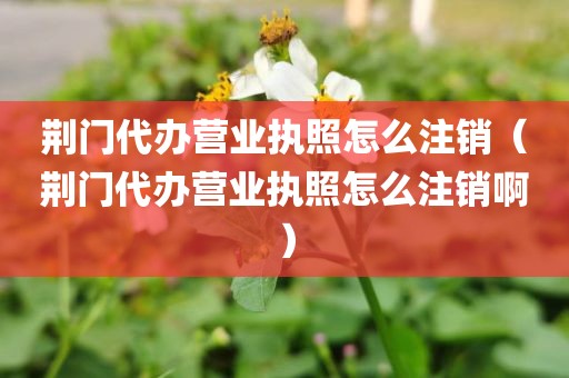 荆门代办营业执照怎么注销（荆门代办营业执照怎么注销啊）
