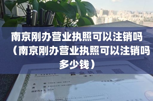 南京刚办营业执照可以注销吗(南京刚办营业执照可以注销吗多少钱)