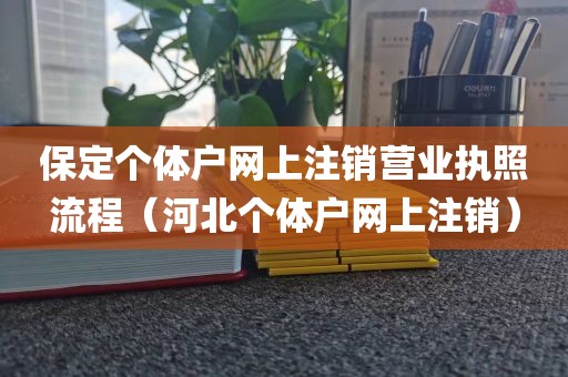 保定个体户网上注销营业执照流程（河北个体户网上注销）