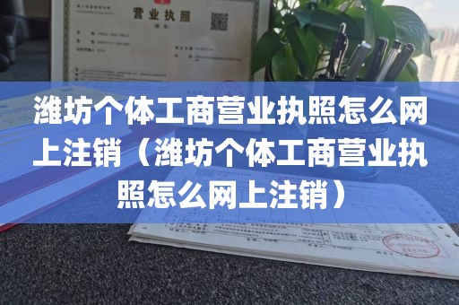 潍坊个体工商营业执照怎么网上注销（潍坊个体工商营业执照怎么网上注销）