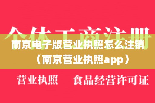 南京电子版营业执照怎么注销（南京营业执照app）