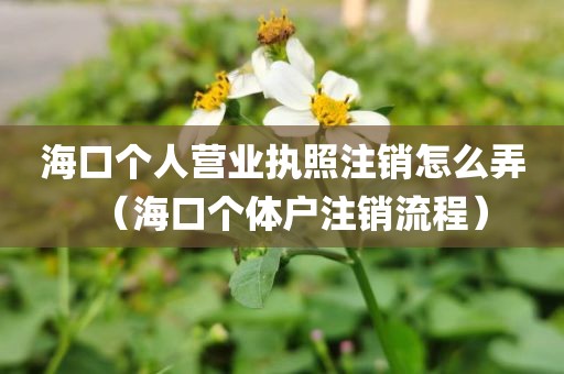 海口个人营业执照注销怎么弄（海口个体户注销流程）