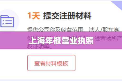 上海年报营业执照