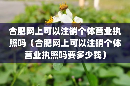 合肥网上可以注销个体营业执照吗（合肥网上可以注销个体营业执照吗要多少钱）