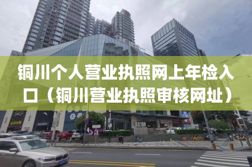 铜川个人营业执照网上年检入口（铜川营业执照审核网址）