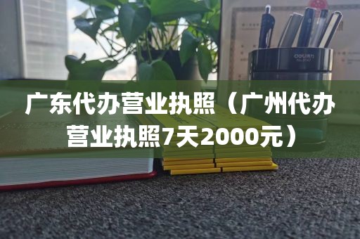 广东代办营业执照(广州代办营业执照7天2000元)