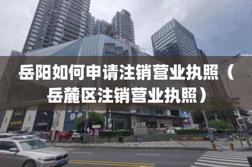 岳阳如何申请注销营业执照（岳麓区注销营业执照）
