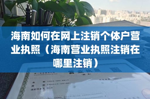 海南如何在网上注销个体户营业执照（海南营业执照注销在哪里注销）