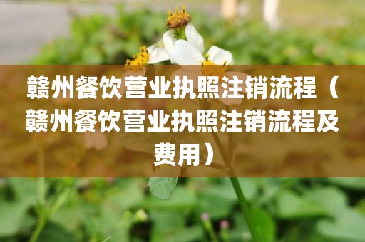 赣州餐饮营业执照注销流程(赣州餐饮营业执照注销流程及费用)