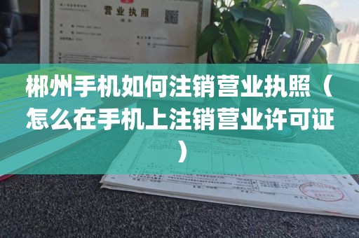 郴州手机如何注销营业执照（怎么在手机上注销营业许可证）