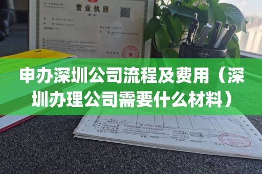 申办深圳公司流程及费用（深圳办理公司需要什么材料）