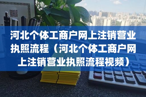 河北个体工商户网上注销营业执照流程（河北个体工商户网上注销营业执照流程视频）