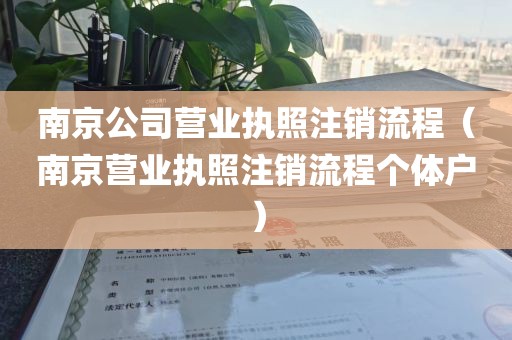 南京公司营业执照注销流程（南京营业执照注销流程个体户）
