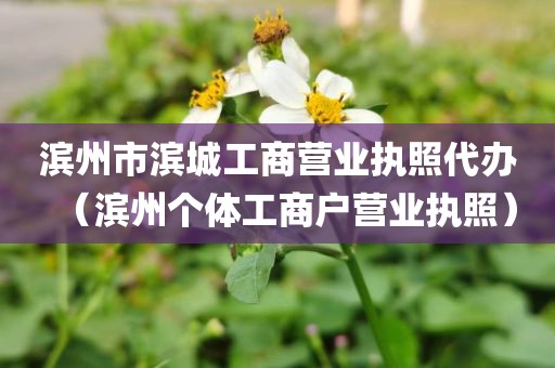 滨州市滨城工商营业执照代办(滨州个体工商户营业执照)