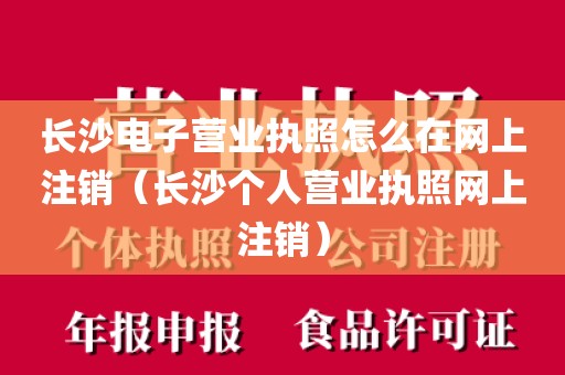 长沙电子营业执照怎么在网上注销（长沙个人营业执照网上注销）