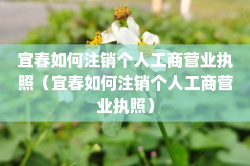 宜春如何注销个人工商营业执照（宜春如何注销个人工商营业执照）