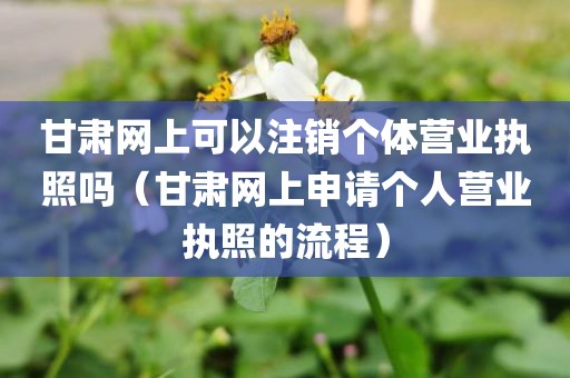 甘肃网上可以注销个体营业执照吗（甘肃网上申请个人营业执照的流程）