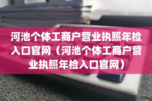 河池个体工商户营业执照年检入口官网（河池个体工商户营业执照年检入口官网）