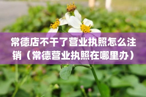 常德店不干了营业执照怎么注销（常德营业执照在哪里办）