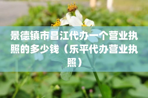 景德镇市昌江代办一个营业执照的多少钱（乐平代办营业执照）