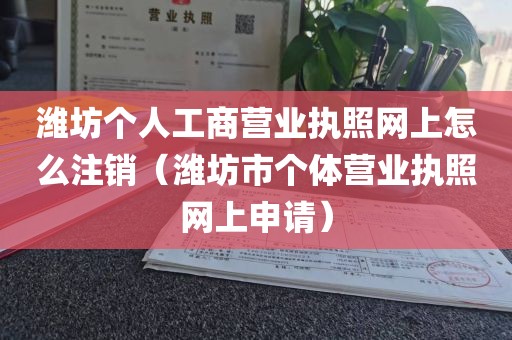 潍坊个人工商营业执照网上怎么注销（潍坊市个体营业执照网上申请）